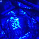 image de profile de jean bon